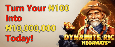 Experience Premium Gaming Excellence